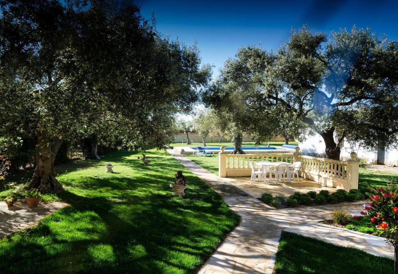 Villa With Great Pool Dog Friendly Vinarós Exterior foto